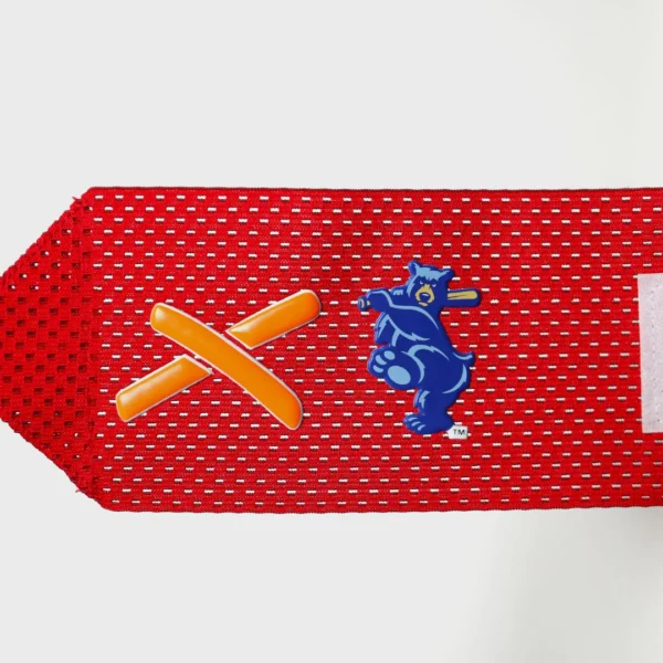 smokies sliding mitt | tennessee smokies milb collab - Image 3